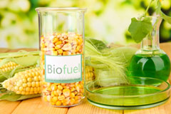 Higher Runcorn biofuel availability